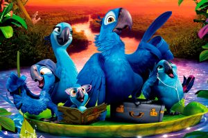Rio 3