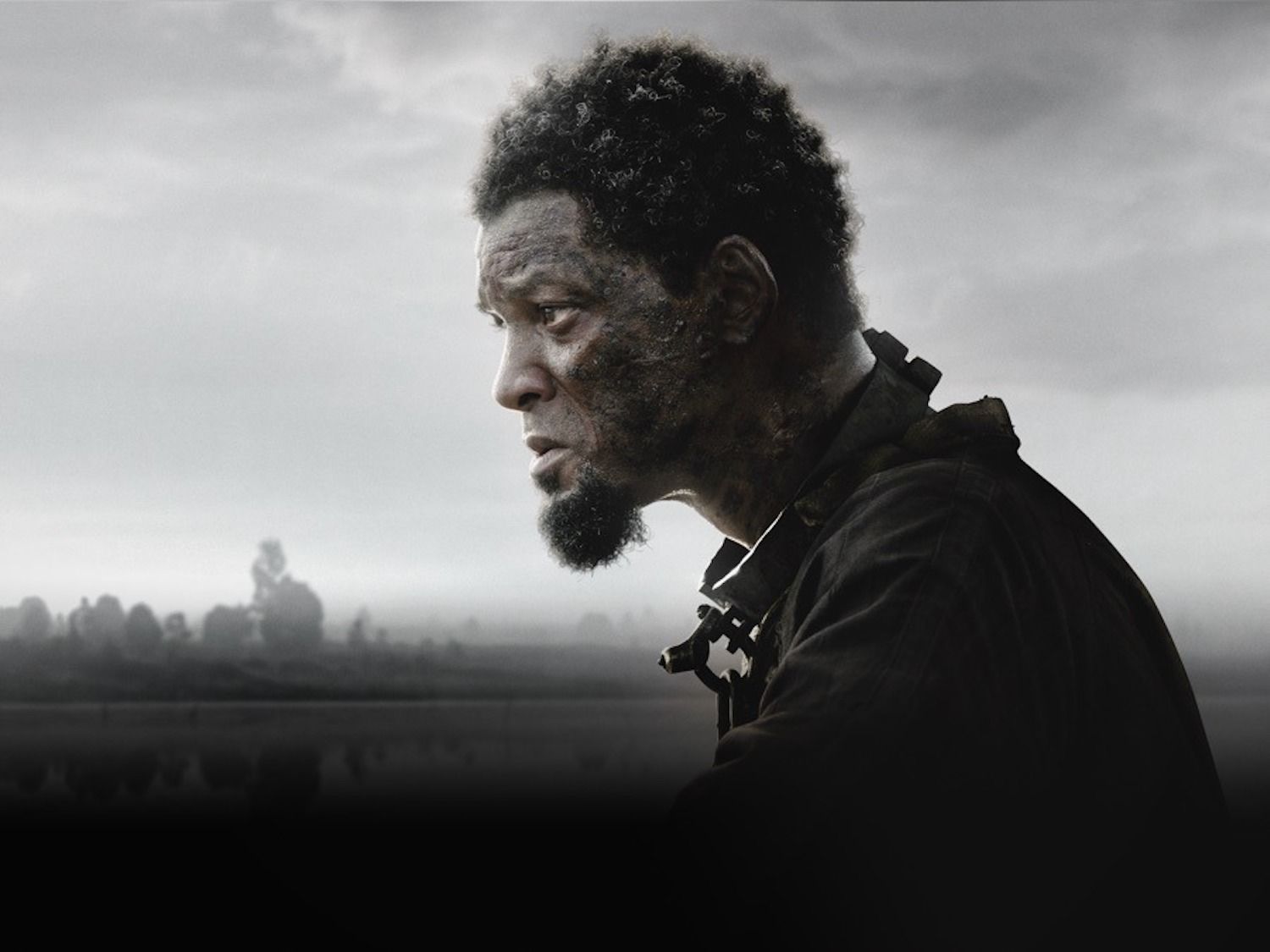 emancipation-onde-e-como-assistir-o-novo-filme-de-will-smith-de-graça-no-streaming